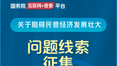 鸡巴操逼av国务院“互联网+督查”平台公开征集阻碍民营经济发展壮大问题线索